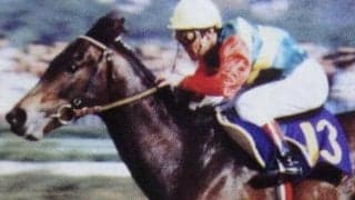 皐月賞着差ランキングTOP5 1位は85年の5馬身差圧勝V