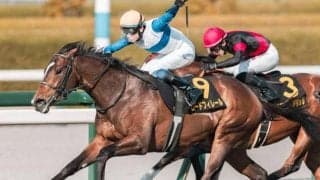 【皐月賞】武豊騎手×ロード軍団のタッグが重賞初制覇なるか 伏兵ロードフィレールで参戦