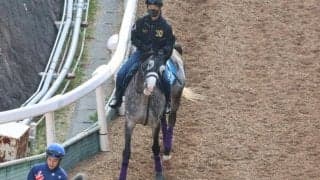 アドマイヤテラなど、先週の入厩情報/栗東トレセンニュース