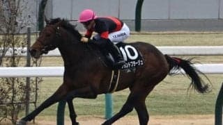 【アンタレスS予想オッズ】グランドプラージュが予想1番人気