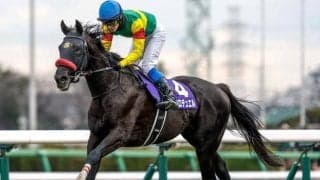 【中山GJ予想オッズ】エコロデュエルが予想1番人気