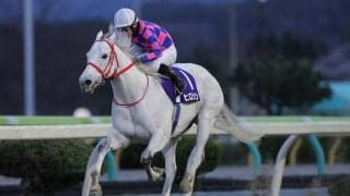 【水沢・赤松杯】ヒロシクンが4馬身差圧勝…高松亮「馬を信じて追い続けた」