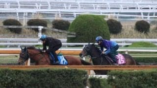 リアライズルミナス、フローラS1週前追い切り速報/栗東トレセンニュース