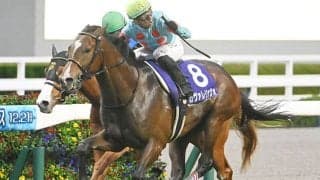 皐月賞登録馬の香港表記・馬名意味を紹介 「馬上特技」や「天狼煌煌」など全21頭