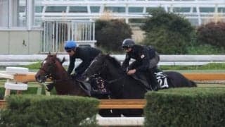 アドマイヤズーム、マイラーズC1週前追い切り速報/栗東トレセンニュース