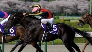 【天皇賞(春)想定】クロワデュノール、ヘデントールなど12頭