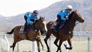 日高育成牧場でJRA育成馬展示会 ブリーズアップセール上場馬の展示・騎乗供覧が行われる