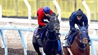 【皐月賞】リアライズシリウス抜群の推進力ラスト１１秒１　津村「一段階上がっていますね」手塚久調教師「先週に比べて鋭さが加わっている」