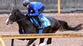 【アンタレスＳ】持ったまま加速ムルソー池江師「いい感じ」