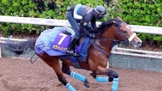 【皐月賞】２歳マイル王カヴァレリッツォＧ１連勝へ「仕上がった」