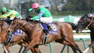 産駒がUAEダービー制覇 ディーマジェスティが制した16年皐月賞から10年