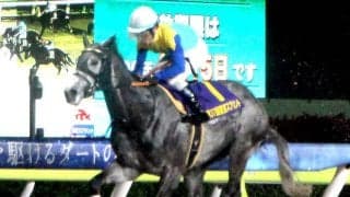 「お父さんに捧げる勝利」種牡馬のフロステッドが急性蹄葉炎で安楽死　同日に産駒のドラゴンウェルズが東京スプリントＶ