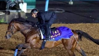 【香港・チェアマンズＳＰ】サトノレーヴが国内最終追い　世界最強スプリンターと４度目の対戦へ