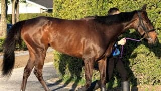 「本命は譲れない」「ご加護があらん事を」オークスで母子制覇目指す良血馬に早くもエール　桜花賞５着アランカール