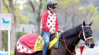 【注目馬動向】ラヴァンダは予定通りヴィクトリアマイルへ　ヤブサメは武豊騎手で京王杯ＳＣへ
