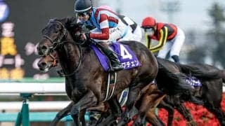 【皐月賞枠順確定】ロブチェンは2枠4番、カヴァレリッツォは1枠1番