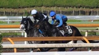 アドマイヤテラ＆スティンガーグラス、天皇賞(春)2週前追い切り速報/栗東トレセンニュース