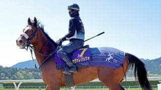 【皐月賞　枠順決定】カヴァレリッツォは最内、バステールは大外　データ的に厳しい馬番に入ったのはロブチェンとリアライズシリウス