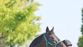 【皐月賞】松山弘平騎手とロブチェンはホープフルＳと同じ２枠４番　陣営「言うことないんじゃないかな」