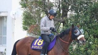 【皐月賞】ラージアンサンブルは５枠１０番　９０年以降勝利ない“鬼門”に武井調教師「本当はもう少し内が良かったけど…」