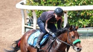 【アンタレスＳ】人気が予想されたグランドプラージュが抽選の結果、除外に　ここまで５戦４勝の素質馬