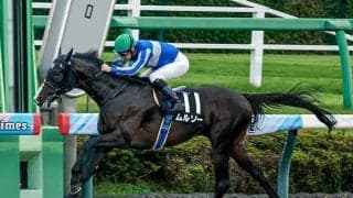 【アンタレスS出走馬・騎手確定】ムルソー＆坂井瑠星騎手、ブライアンセンス＆岩田望来騎手など16頭