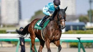 【福島牝馬S出走馬・騎手確定】パラディレーヌ＆丹内祐次騎手、ジョイフルニュース＆大野拓弥騎手など16頭