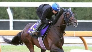【皐月賞】報知杯弥生賞勝ち馬バステールの大外８枠１８番は９０年以降３勝　斉藤崇調教師「ちょっと外過ぎかなと]