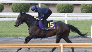 【皐月賞】ホープフルＳ２着フォルテアンジェロなど３頭出し　上原佑調教師「３頭とも極端な枠ではないので、問題ないと思います」