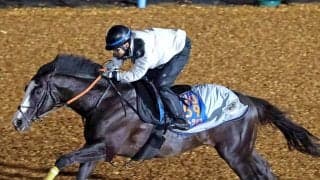 【チャンピオンズマイル】シュトラウスが国内最終追い切りで絶好の動き　武井亮調教師「順調に来ました」