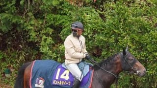 【皐月賞】パントルナイーフは６枠１１番から最長ブランクＶへ　木村調教師「しっかり対応できるように」