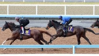 【皐月賞】上原佑紀厩舎が豪華３頭併せ　フォルテアンジェロとライヒスアドラーは併入