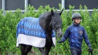 【トク捜リレー】美浦・三戸記者の注目はディープインパクトなど最多５勝の好枠をゲットした芦毛馬　皐月賞