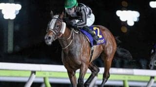 【大井・ブリリアントC結果】リベイクフルシティが差し切って重賞2勝目を挙げる