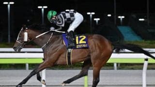 【大井・ブリリアントC】リベイクフルシティが完勝…和田「抜群の手応え」