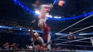 ケガの女子レスラー激しいダイブに騒然