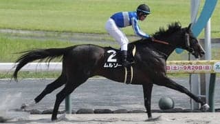 【アンタレスS枠順確定】ムルソーは2枠4番、ブライアンセンスは1枠1番