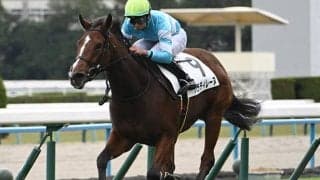 【福島牝馬S枠順確定】パラディレーヌは2枠3番、ジョイフルニュースは7枠14番