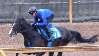 【アンタレスＳ】安定感抜群のムルソーは２枠４番　フェブラリーＳ４着のブライアンセンスは１枠１番　枠順決定