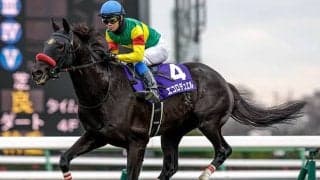 【中山GJ枠順確定】エコロデュエルは6枠6番、ホウオウプロサンゲは3枠3番