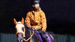 予定していた出発便が欠航…　栗東所属の香港遠征馬３頭は引き続き検疫厩舎にて検疫を実施　ＪＲＡ発表