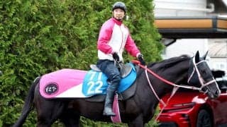 【アンタレスＳ】重賞初Ｖ狙うジューンアヲニヨシは坂路で前日調整　活気ある身のこなしに松下調教師「順調にきています」