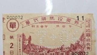 きょう徳川家康の命日 岡崎にあった“東海一の好馬場”はなぜ消えたのか