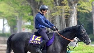 【皐月賞・金曜調整】ゾロアストロはキビキビした動きで仕上がり万全　宮田調教師も「非常に活気がある」と手応え