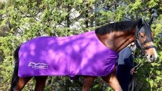 【皐月賞・金曜調整】アドマイヤクワッズは報知杯弥生賞３着も友道調教師は収穫を強調　「距離のメドは立ちました」