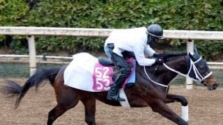 【注目馬動向・３歳】スマートプリエール、アメティスタはオークス　メイショウハチコウはプリンシパルＳへ