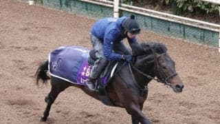 【注目馬動向】香港遠征回避のミュージアムマイルは宝塚記念へ　秋春グランプリ連覇狙う