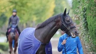 【注目馬動向】３冠牝馬アパパネの子供アマキヒは重賞初制覇かかる目黒記念への参戦を視野