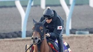 【注目馬動向】フェブラリーＳ連覇のコスタノヴァは昨年に続いてレーン騎手とのコンビでかしわ記念へ