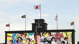 【阪神】「似ていると言われる」「悪そう」「テルアキー！」虎戦士が明かす好きなポケモン／一覧